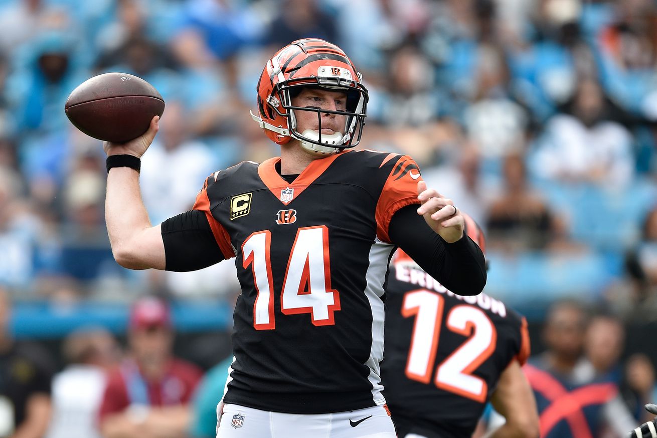 Cincinnati Bengals v Carolina Panthers