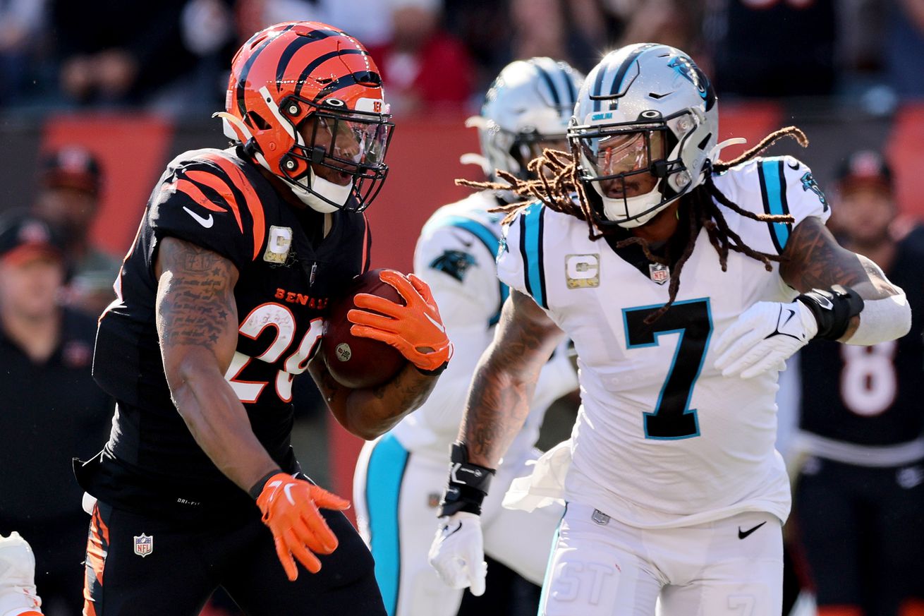 Carolina Panthers v Cincinnati Bengals