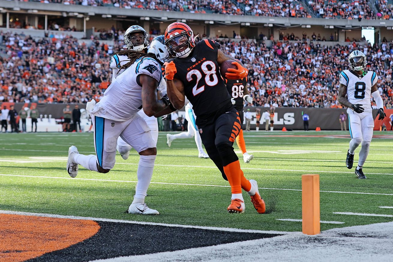 Carolina Panthers v Cincinnati Bengals