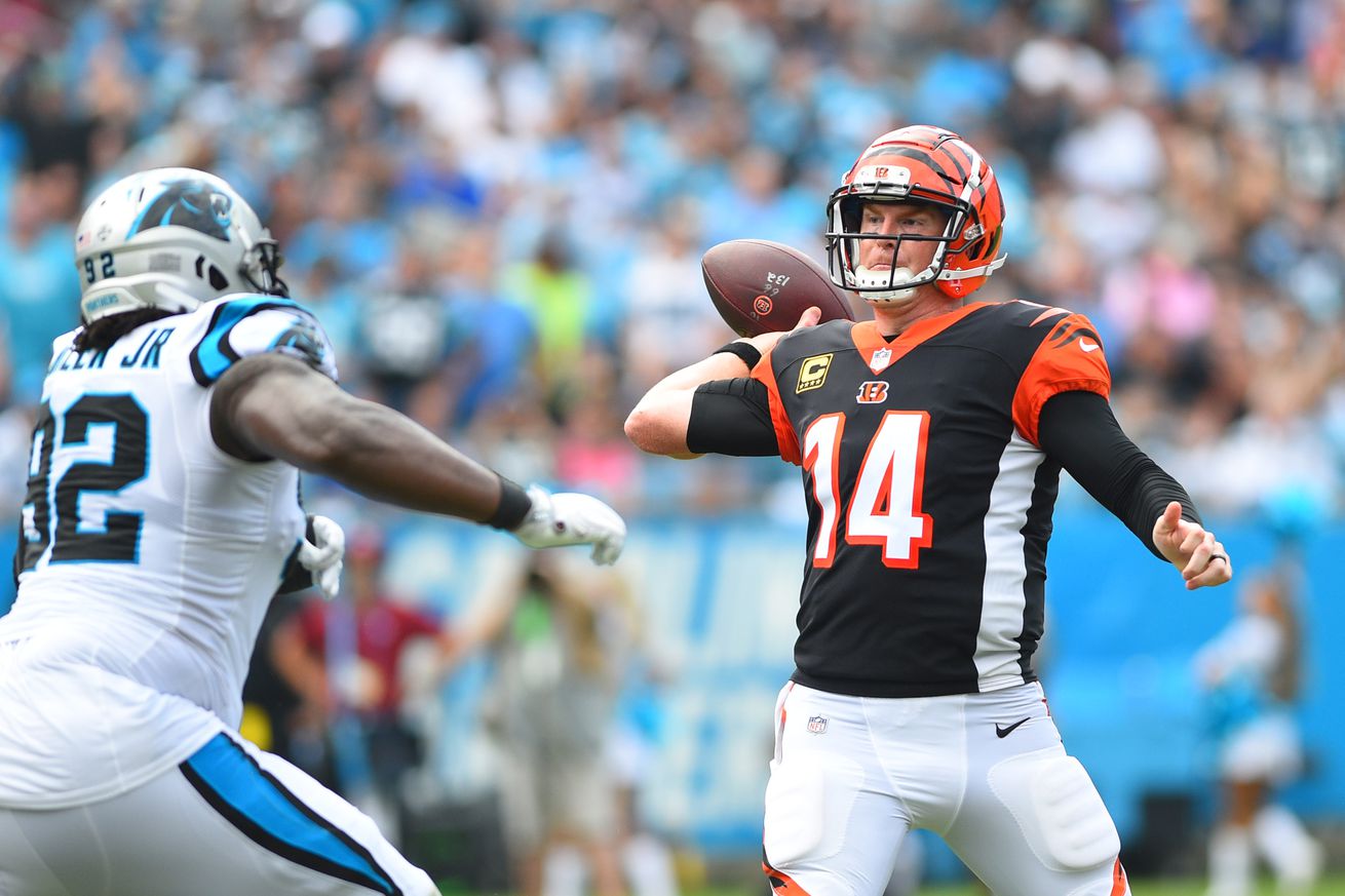 NFL: Cincinnati Bengals at Carolina Panthers