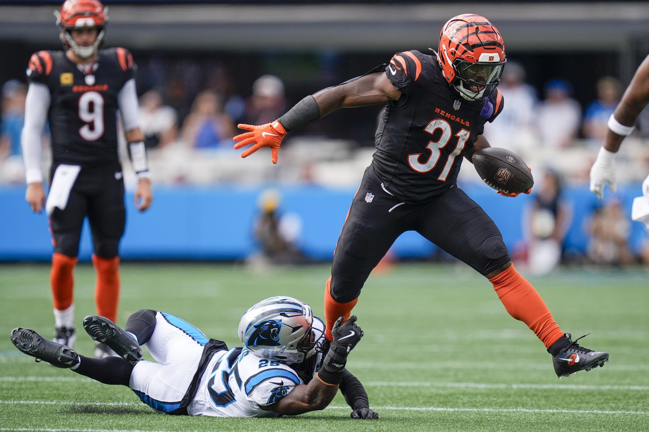 NFL: Cincinnati Bengals at Carolina Panthers