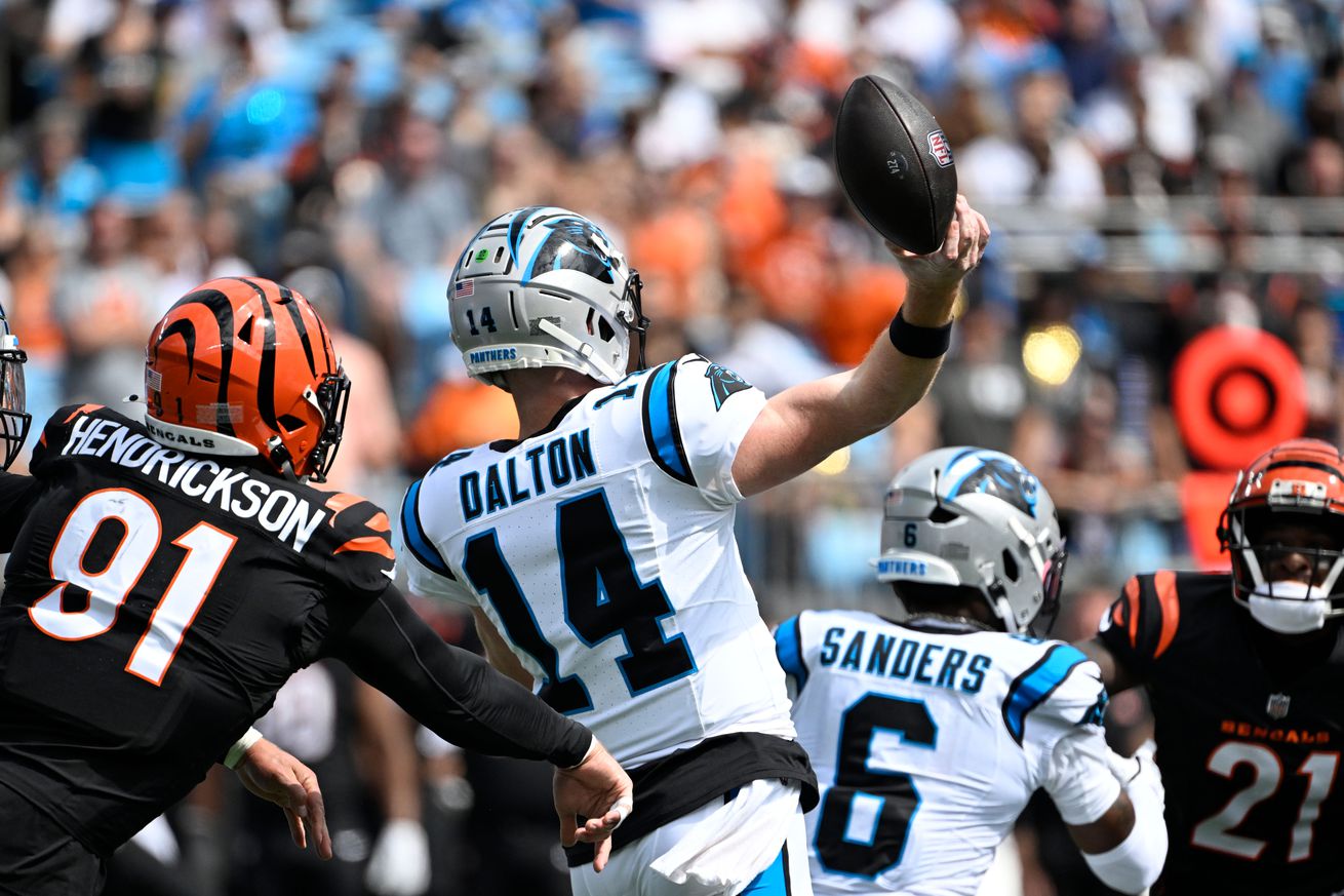 NFL: Cincinnati Bengals at Carolina Panthers