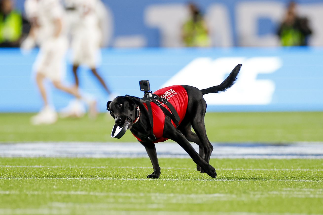 COLLEGE FOOTBALL: DEC 28 Pop-Tarts Bowl - NC State vs Kansas State